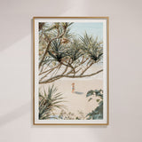 "Through The Palms (Noosa)" - by Thomas Farinacci