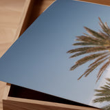 "Balearic Palms" - by SH Collections