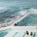 "Icebergs to Bondi" - by Thomas Farinacci