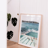 "Icebergs to Bondi" - by Thomas Farinacci