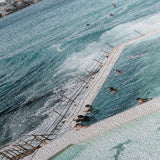 "Icebergs to Bondi" - by Thomas Farinacci