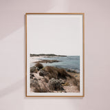 "Koonya Beach" - by Thomas Farinacci