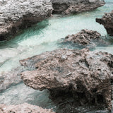 "Rockpool" - by Thomas Farinacci