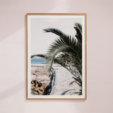 "Sirocco Whispers" - by SH Collections