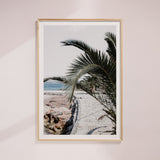 "Sirocco Whispers" - by SH Collections